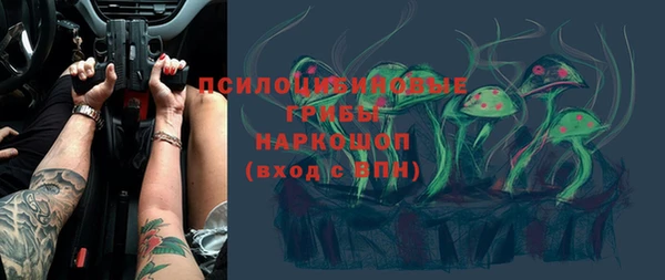 Альфа ПВП Армянск