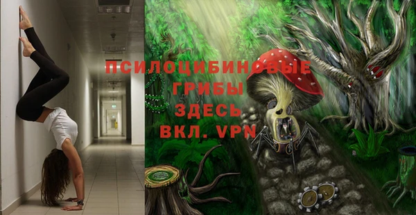прущий лед Аркадак
