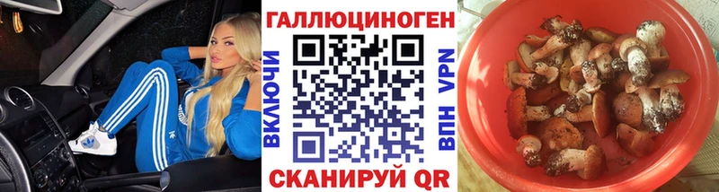 Галлюциногенные грибы Cubensis  наркошоп  Александров 